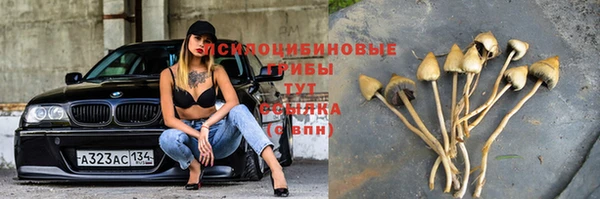 бошки Алексеевка