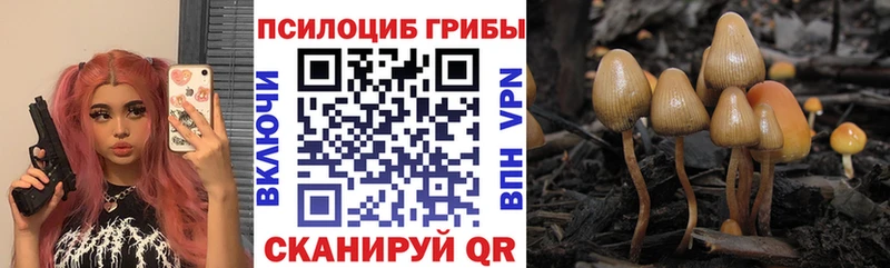 Галлюциногенные грибы мицелий  ОМГ ОМГ маркетплейс  Богородск 