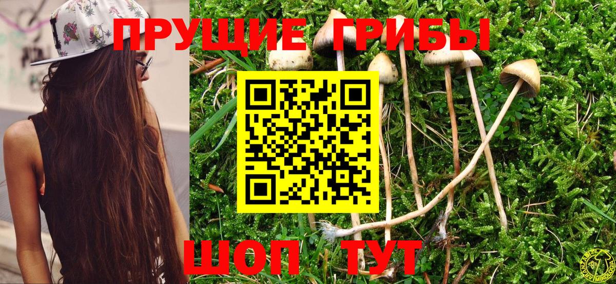 Вейп ТГК Богородск