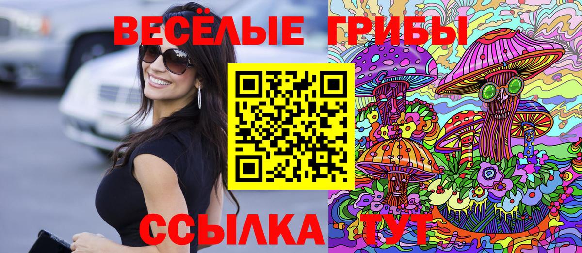 Галлюциногенные грибы ЛСД Богородск