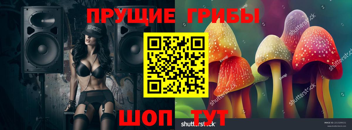 Галлюциногенные грибы прущие грибы  Псилоцибиновые грибы ЛСД  Вход с VPN  купить наркоту  Богородск 