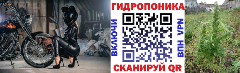 Марихуана MAZAR  гидра ссылка  Богородск 